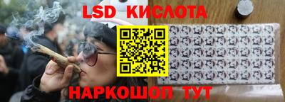 стаф Кандалакша