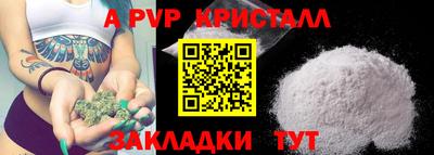 стаф Кандалакша