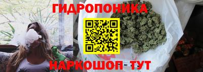 не бодяженный Канаш